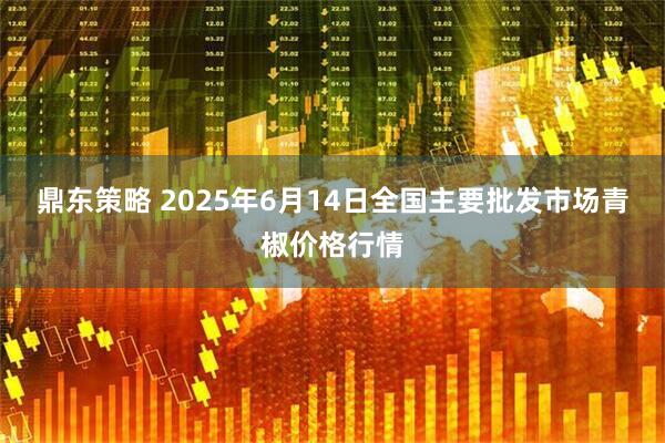 鼎东策略 2025年6月14日全国主要批发市场青椒价格行情