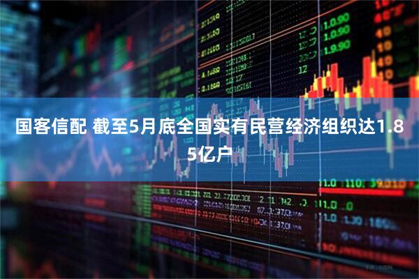 国客信配 截至5月底全国实有民营经济组织达1.85亿户
