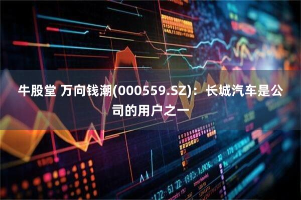 牛股堂 万向钱潮(000559.SZ)：长城汽车是公司的用户之一