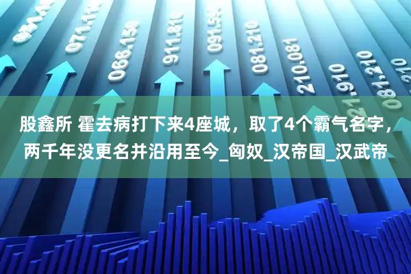 股鑫所 霍去病打下来4座城，取了4个霸气名字，两千年没更名并沿用至今_匈奴_汉帝国_汉武帝
