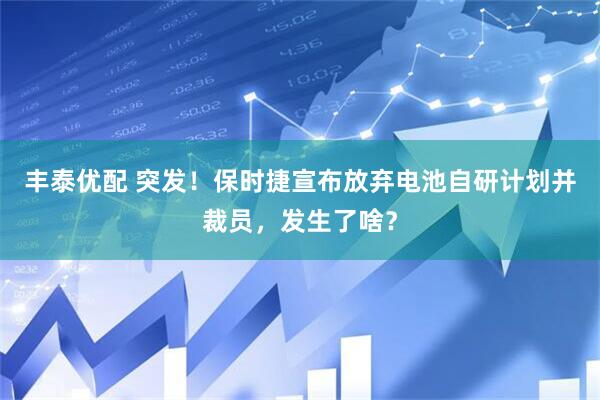 丰泰优配 突发！保时捷宣布放弃电池自研计划并裁员，发生了啥？